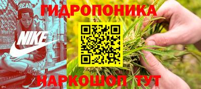 стафф Ярославль
