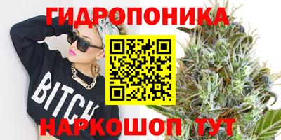 стафф Ярославль